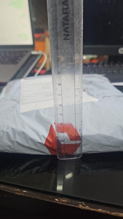 Women's Nontransparent Fabric Classic-Stylish Pant Black